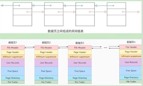 高級篇七 InnoDB數(shù)據(jù)存儲結(jié)構(gòu)
