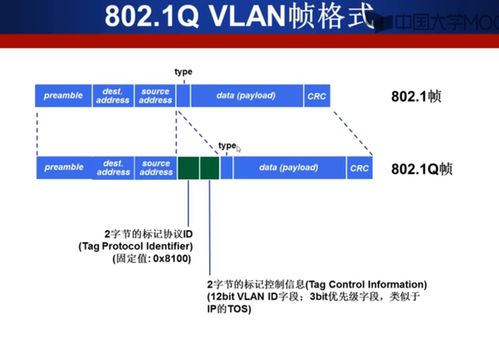 計算機網(wǎng)絡數(shù)據(jù)鏈路層